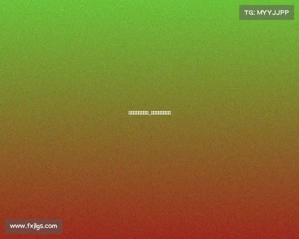 巴西柔术国际赛事_巴西柔术国际冠军